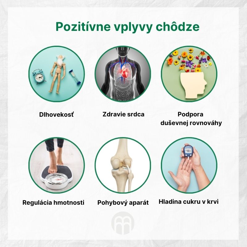 (Slovenčina) Pozitivní vlivy chůze